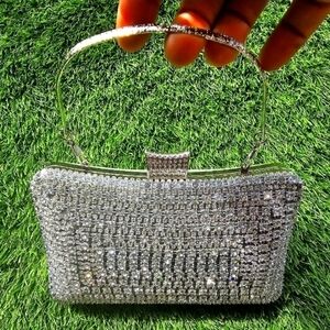 Elegant Silver Clutch